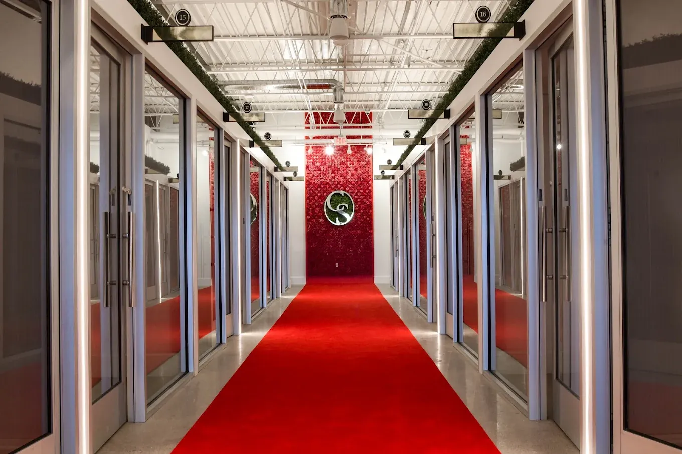 Red-carpet hallway of private glass-door salon suites at Cosmo Salon Studios Troy